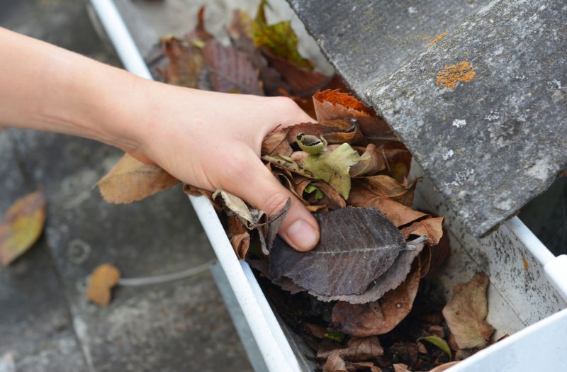 Commercial Downspout Cleaning in Sacramento, CA