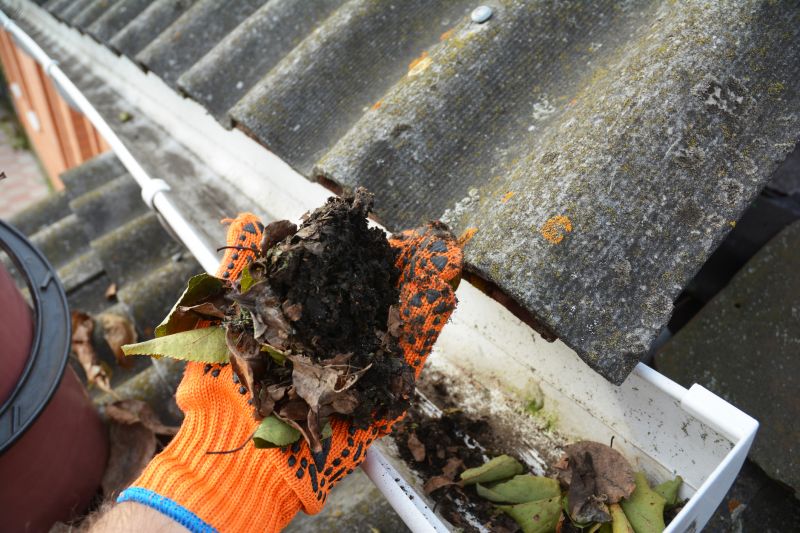 Business Gutter Cleaning in Denver County, CO