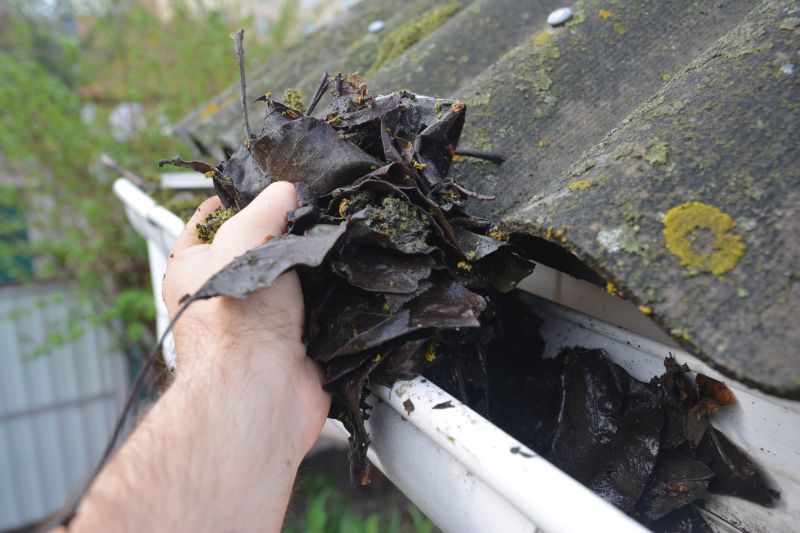 Garage Gutter Cleaning in Arvada, CO