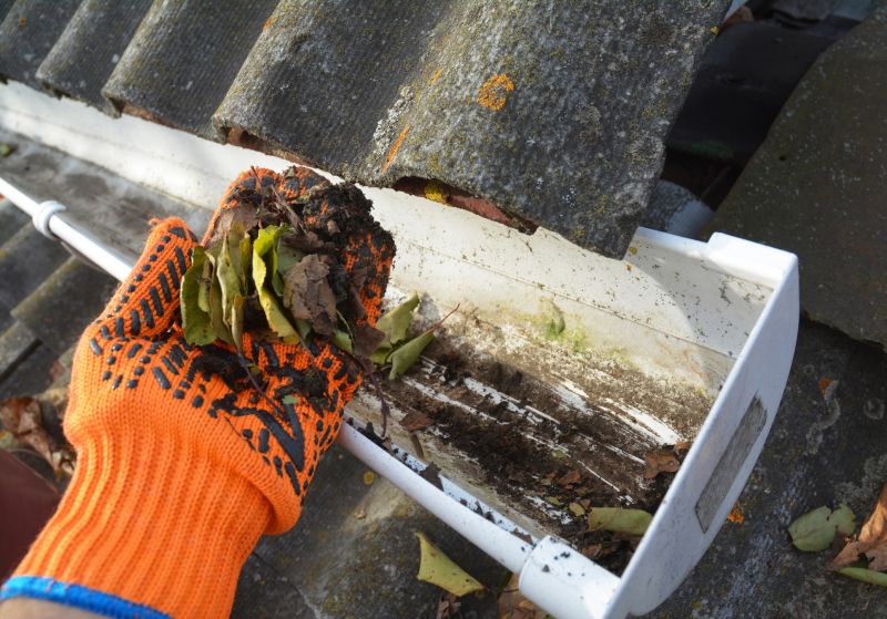 Gutter Cleaning in Long Island, NY