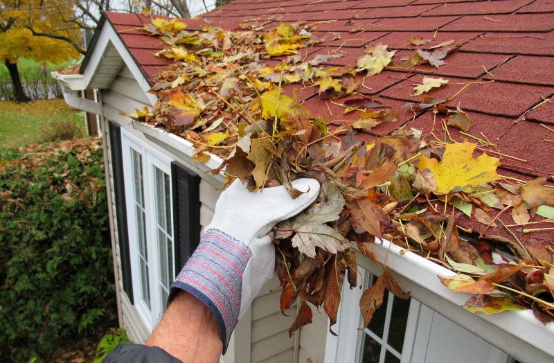 Gutter Leaf Clearing in Boulder, CO