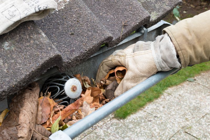 Gutter Leaves Removal in Longmont, CO