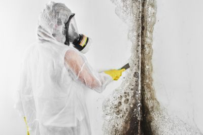 Stain and Mold Removal
