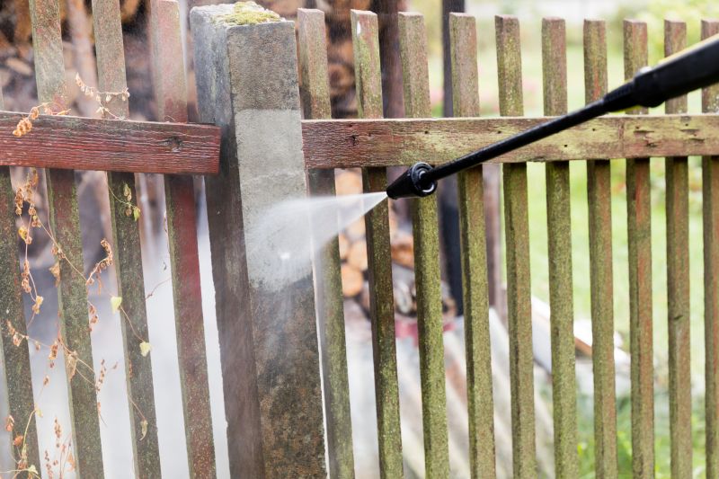 Fence and Wall Cleaning